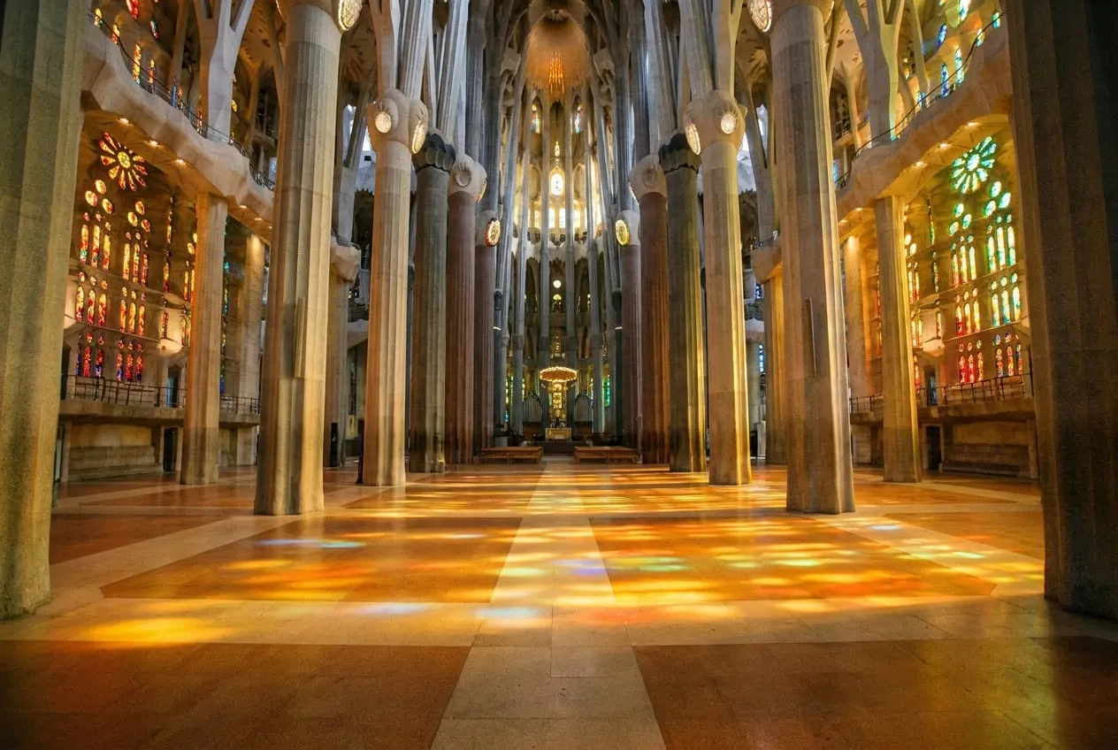 The forest of branching columns inside the Sagrada Família rising above a level stone floor